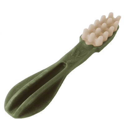 Toothbrush Image